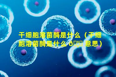 干细胞溶菌酶是什么（干细胞溶菌酶是什么 🦈 意思）